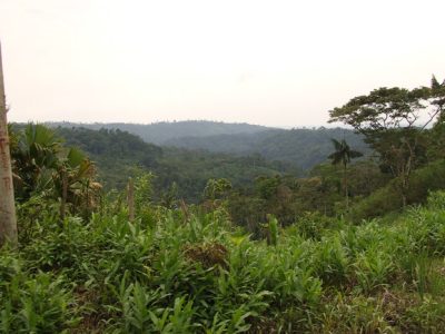 Panorama