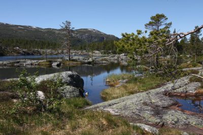 Paesaggio norvegese
