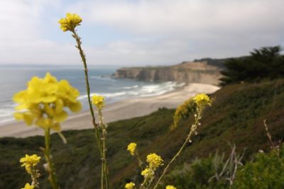 Costa ovest (CA,USA)