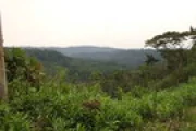 Ecuador gallery